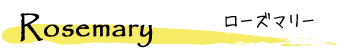 Rosemary �`���[�Y�}���[