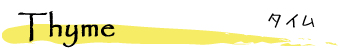 Thyme �`�^�C��
